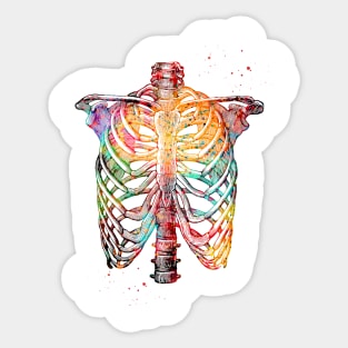 Rib Cage Sticker